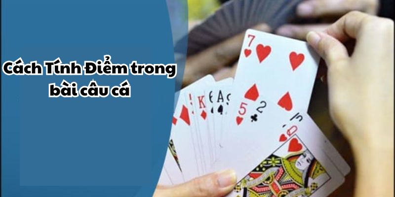 Cách tính điểm trong bài cá 