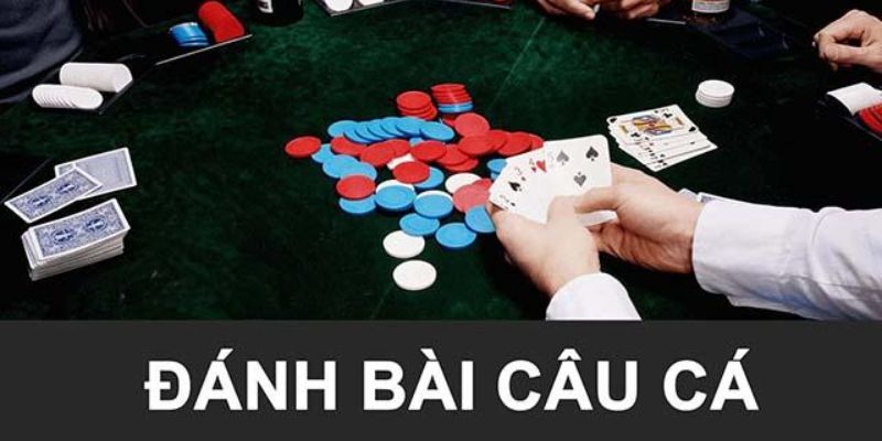 Một Số Kinh Thánh Chơi Trong Bài Câu Cá