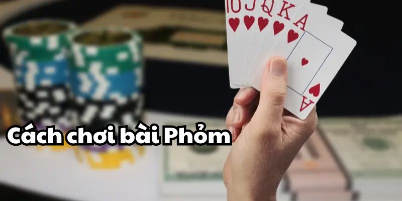 Cách chơi bài Phỏm chi tiết cho tân thủ