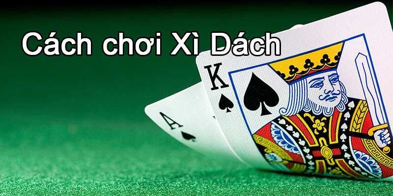 Cách chơi bài Xì dách đơn giản, dễ hiểu